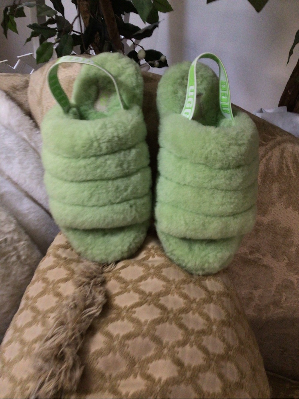 UGG - Picture 5 of 10